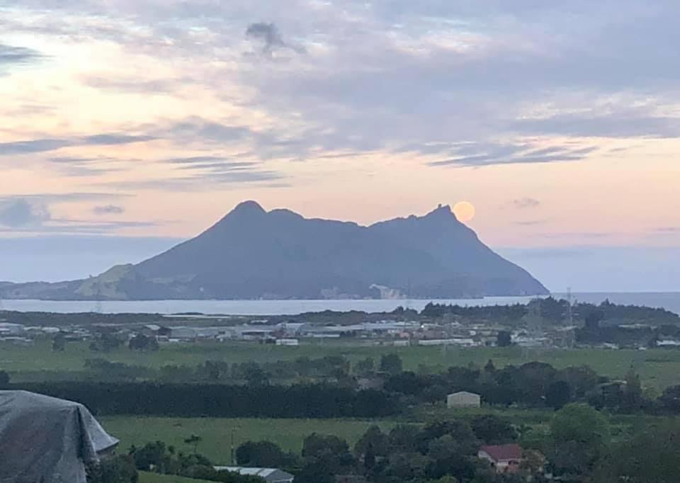 Moko Hiwi Escape - Kotare Suite Ruakaka Exterior foto